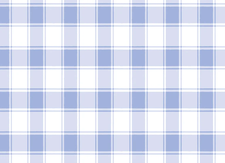 Button Down SS Lounge Set - Large Blue Gingham - Image 6