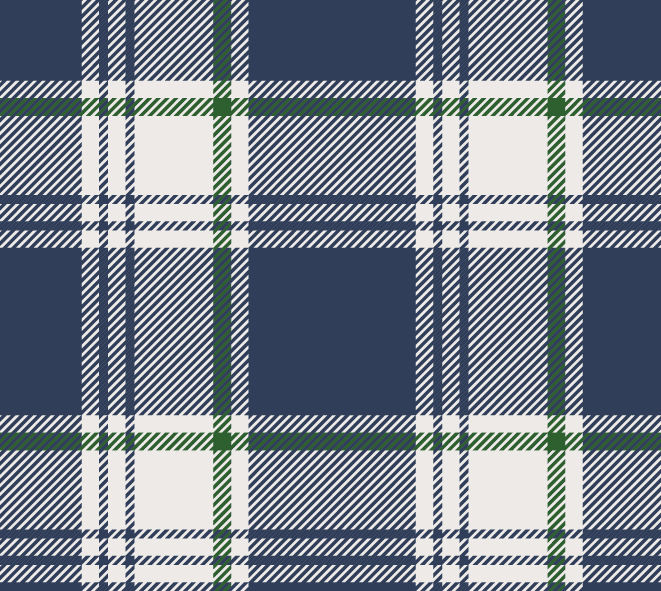 Button Down - Fall Tartan - Image 4