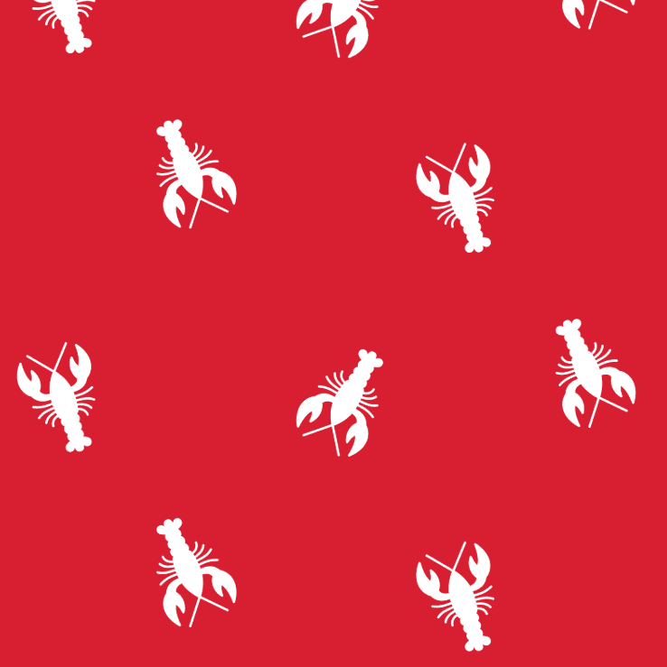Kyson Boy Pocket Shorts - Red Lobsters - Image 2