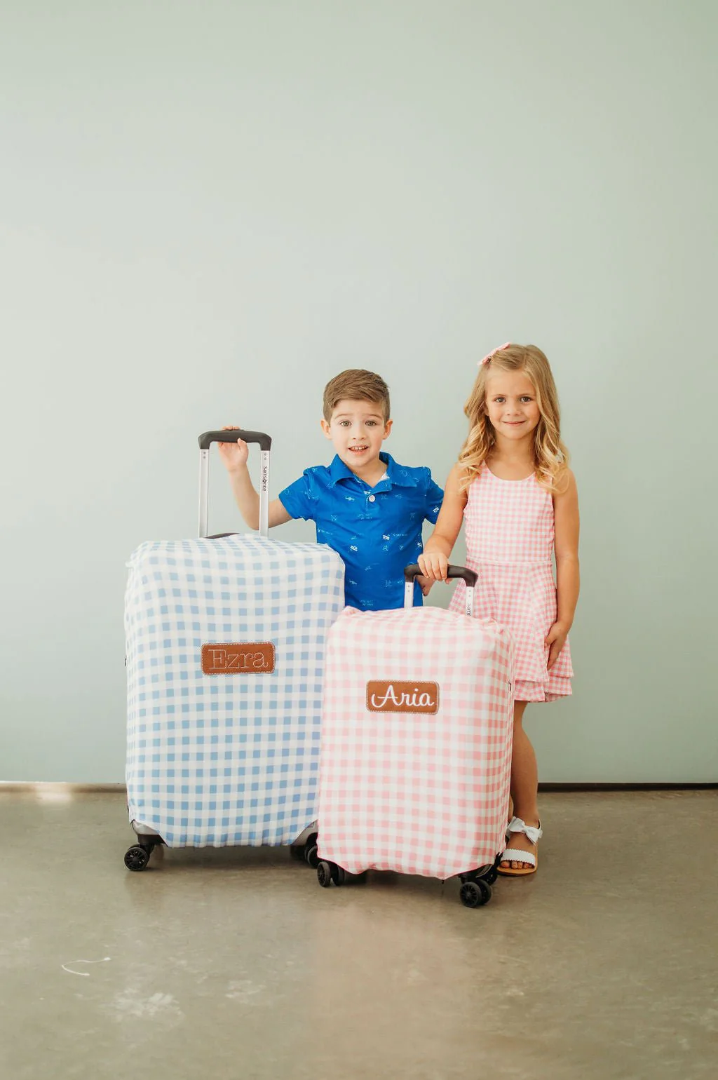 Luggage Cover - Blue Gingham - Image 2
