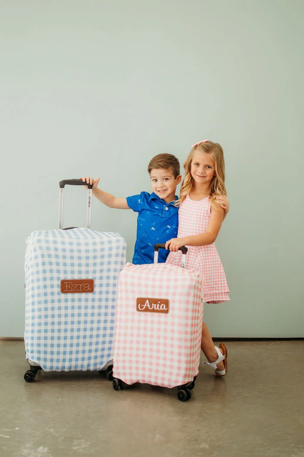 Luggage Cover - Blue Gingham - Image 3