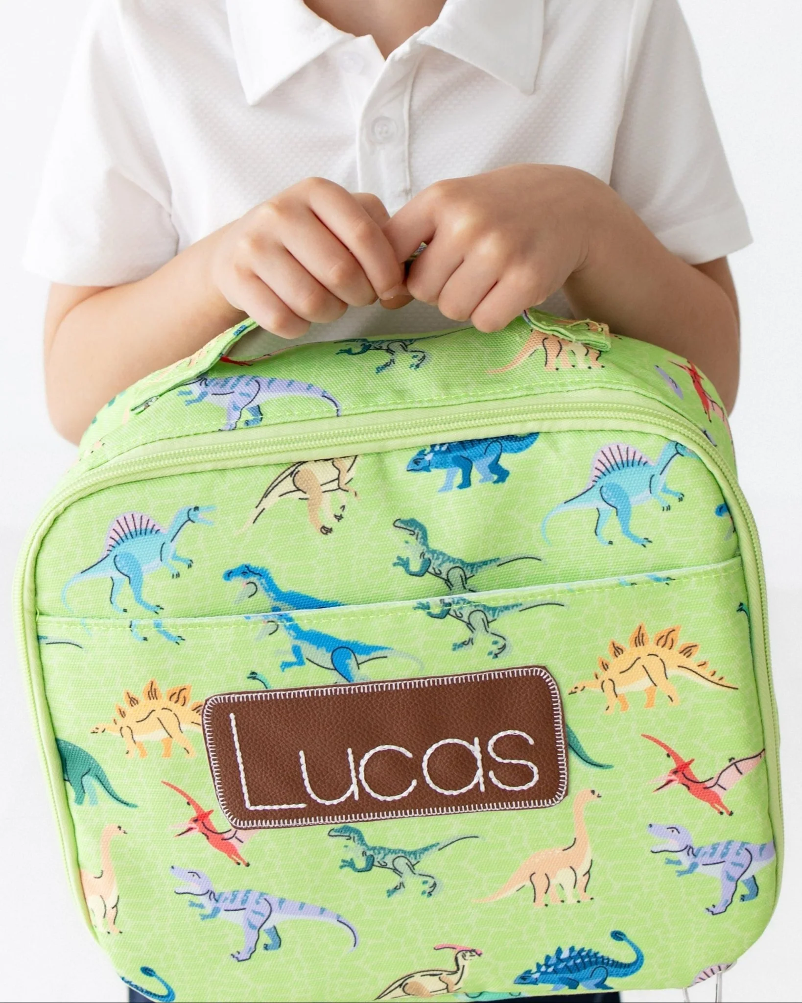 Lunch Bag - Dinosaurs