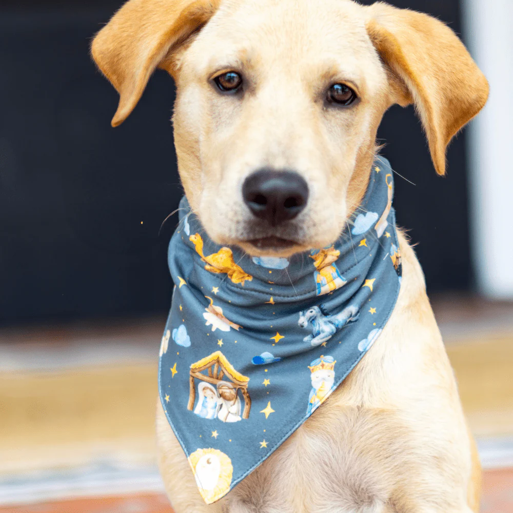 Manger - Pet Bandana Holiday Lounge