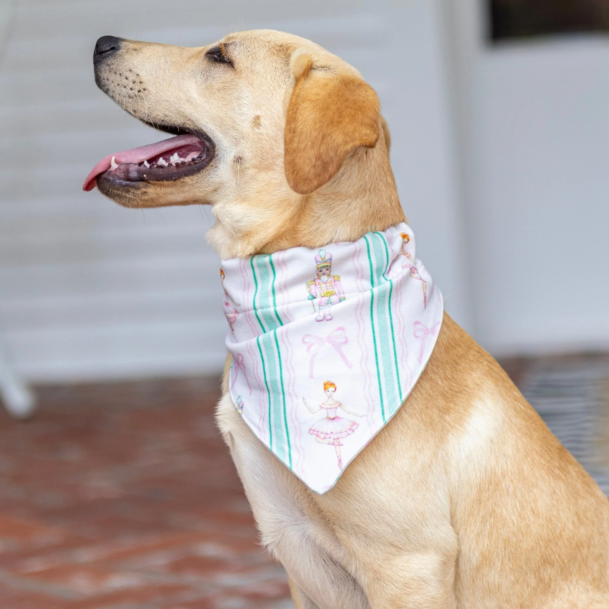Nutcracker - Pet Bandana Holiday Lounge - Image 3