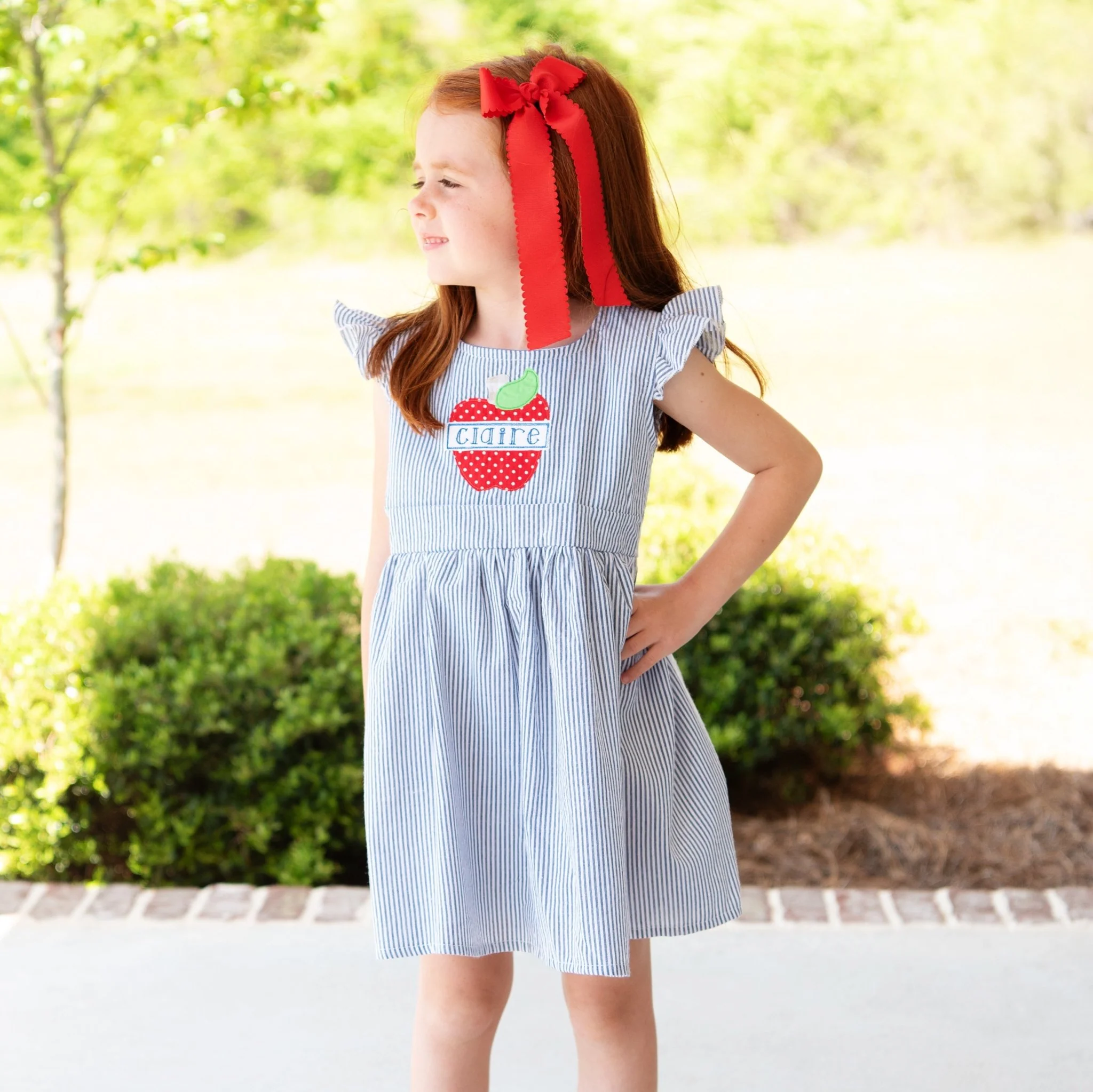 Seersucker Apple Dress - Image 3