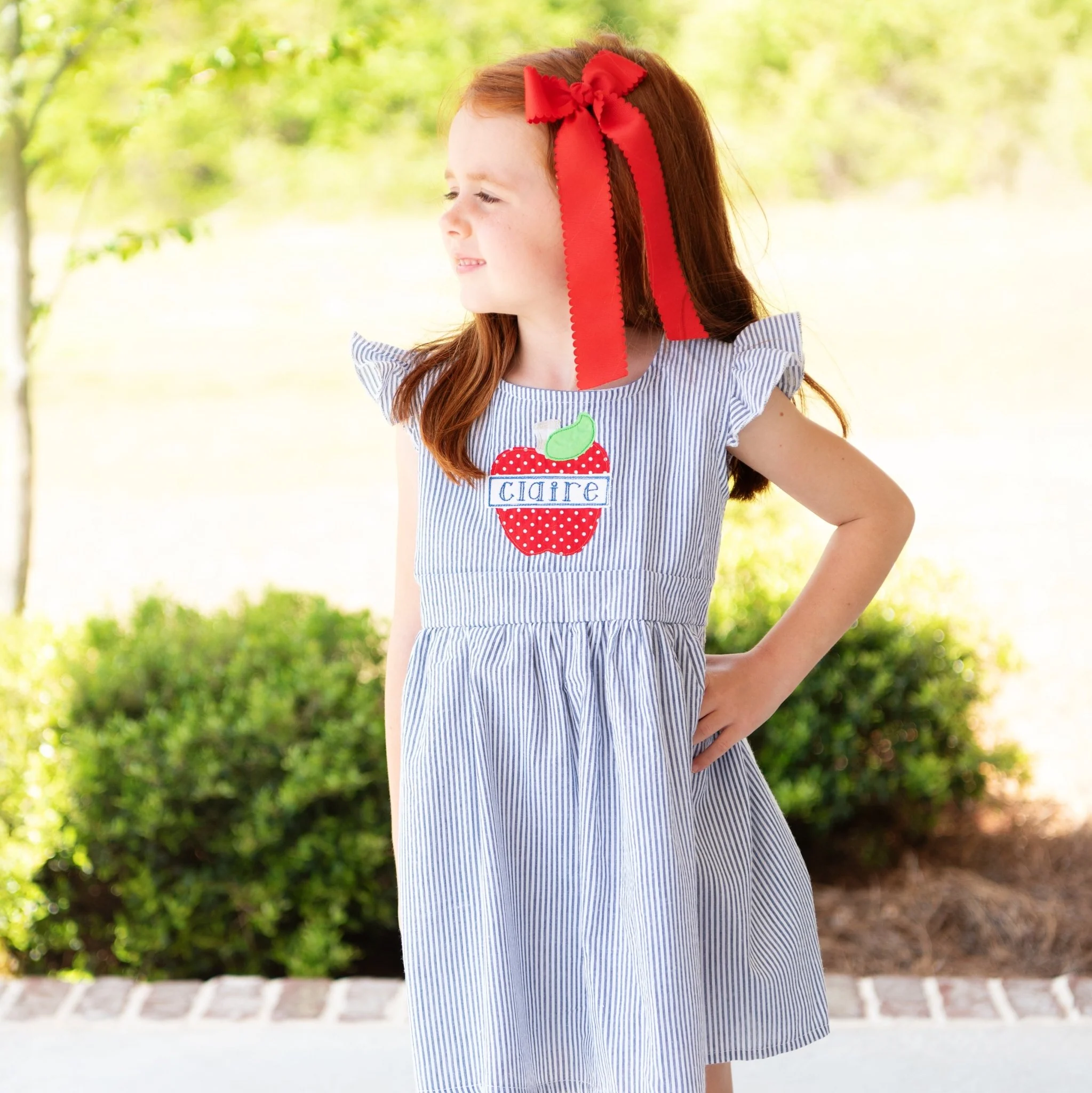 Seersucker Apple Dress - Image 5