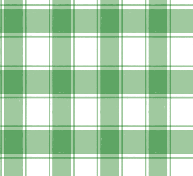 Janis Sleeveless Polo Short Set - Greenway Gingham - Image 2