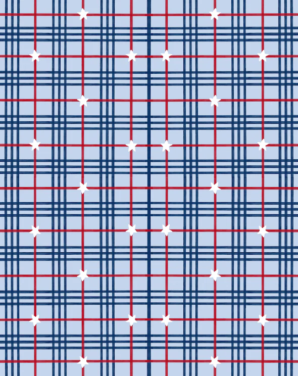 Soft-Sided Cooler - Star Spangled - Image 6